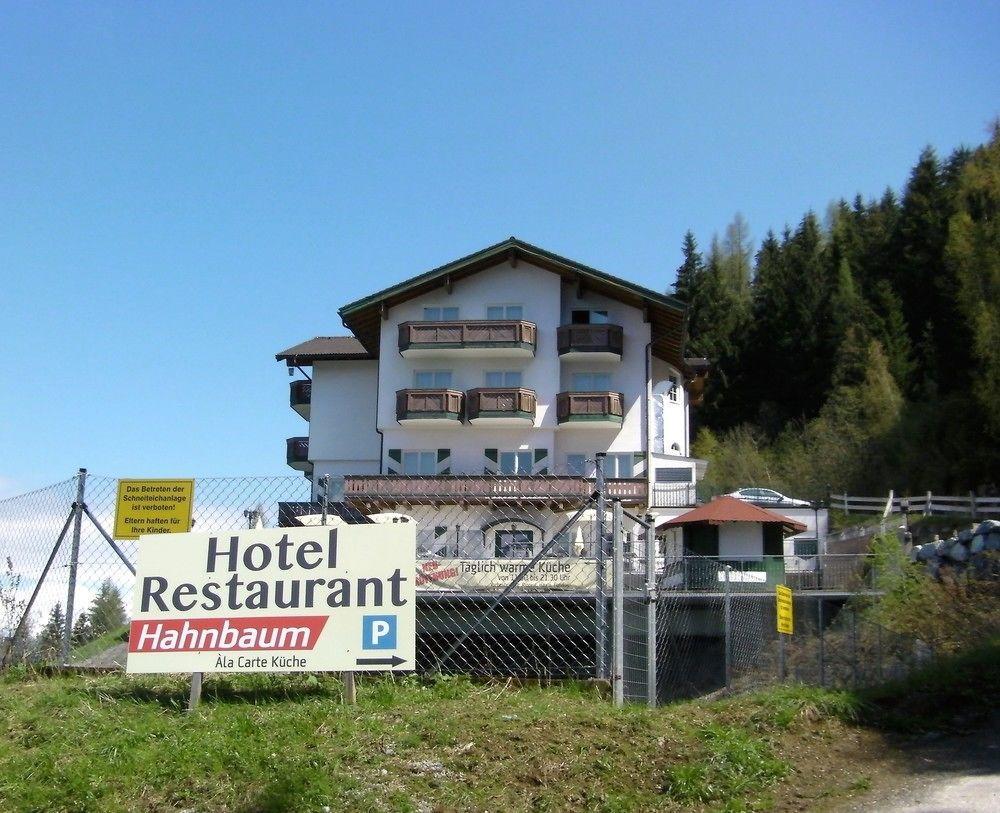 Hotel Hahnbaum ザンクト・ヨーハン・イム・ポンガウ エクステリア 写真