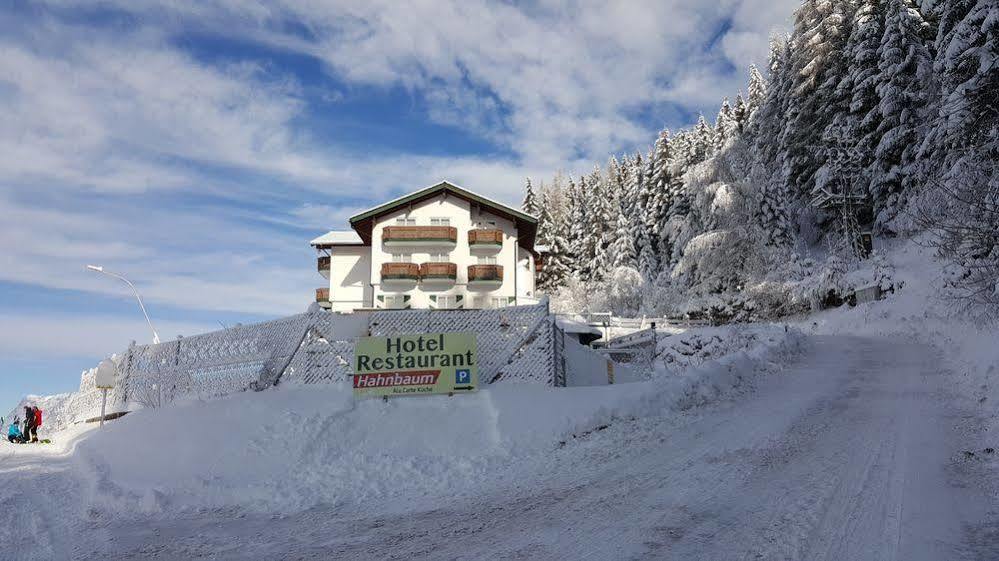 Hotel Hahnbaum ザンクト・ヨーハン・イム・ポンガウ エクステリア 写真